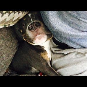 Meet your Posher, Tara